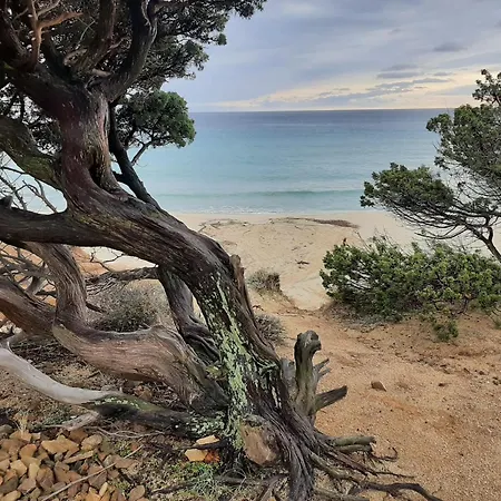 게스트하우스 Resonance Experience - Peaceful Near Cagliari, Beaches & Nature *