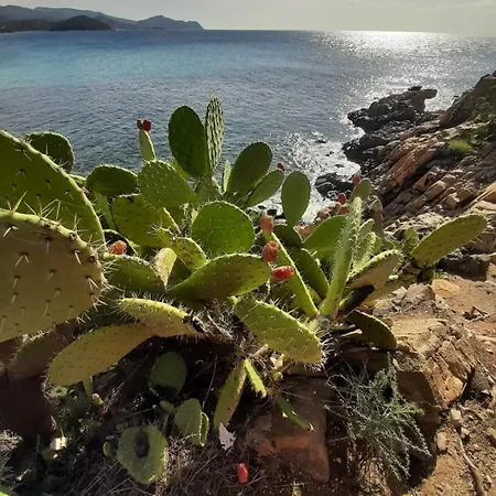 Resonance Experience - Peaceful Near Cagliari, Beaches & Nature