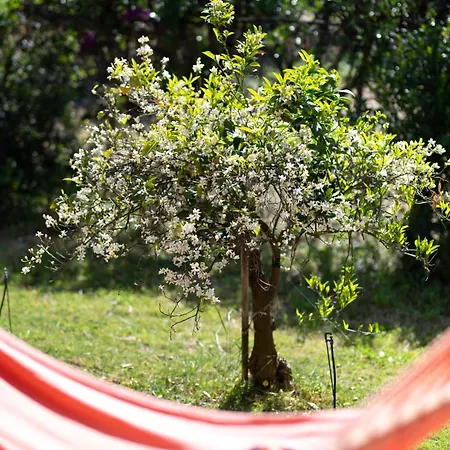 Resonance Experience - Tranquil Close To Beaches And Sacred Sites Guest house Sant Isidoro (Sardinia)