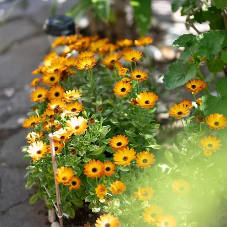 Resonance Experience - Tranquil Close To Beaches And Sacred Sites Guest house *