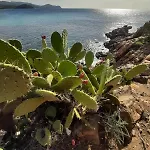 Resonance Experience - Peaceful Near Cagliari, Beaches & Nature