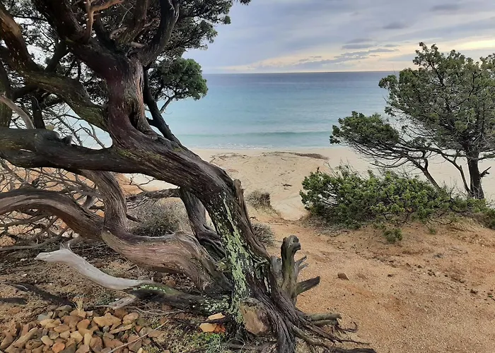 Pensjonat Resonance Experience - Tranquil Close To Beaches And Sacred Sites *
